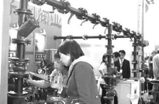 都來看看 龐各莊這些年的產(chǎn)業(yè)提升有多強(qiáng)