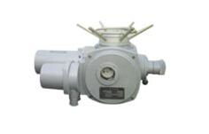 核級(jí)閥門電動(dòng)裝置的產(chǎn)品分類,核級(jí)閥門電動(dòng)裝置的產(chǎn)品分類生產(chǎn)廠家,核級(jí)閥門電動(dòng)裝置的產(chǎn)品分類價(jià)格