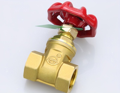 數(shù)字化轉(zhuǎn)型風(fēng)口下，天津閥門網(wǎng)借勢(shì)升級(jí)實(shí)現(xiàn)銷售額逆勢(shì)增長(zhǎng)