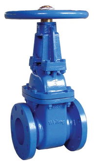 丹東球墨鑄鐵軟密封閘閥的特點(diǎn)與應(yīng)用